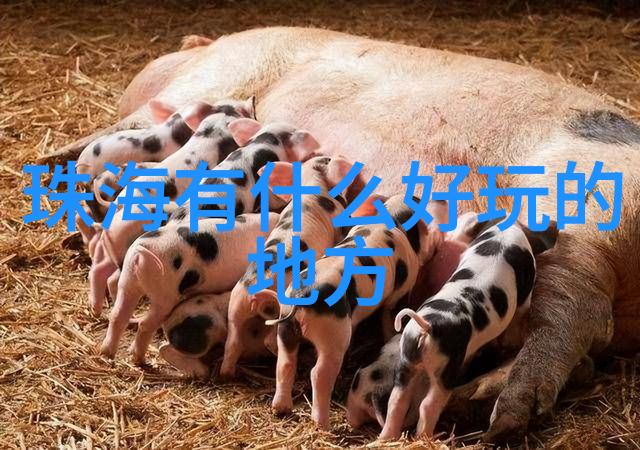 哈尔滨融创雪世界门票价格如何小学生户外活动方案了解营业时间的反复探究