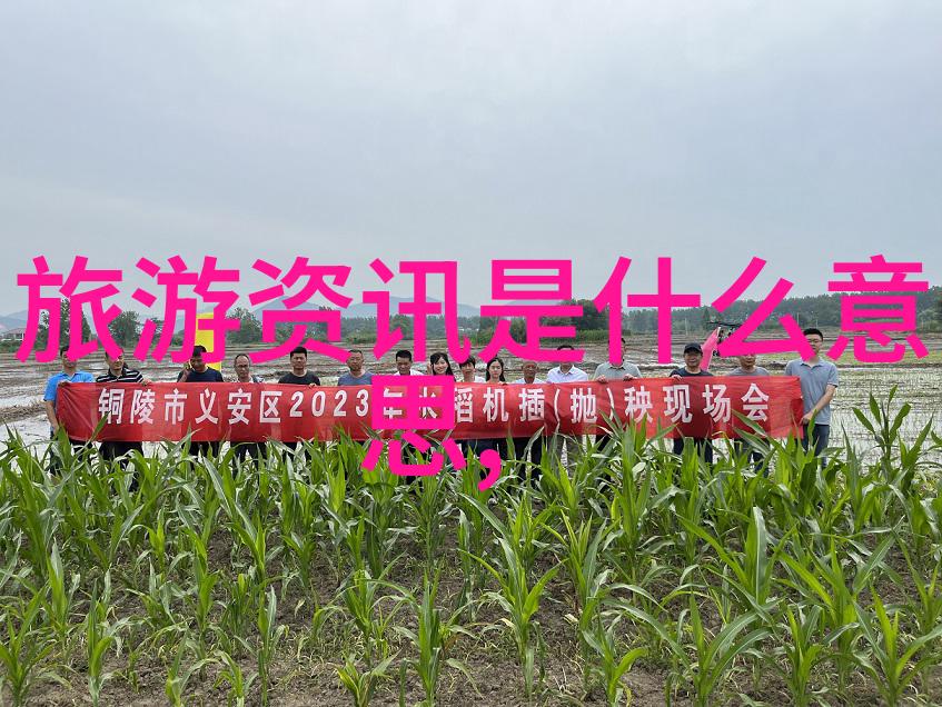 南京旅游攻略二日游我在南京的两天好时光从六朝古都到现代都市探秘