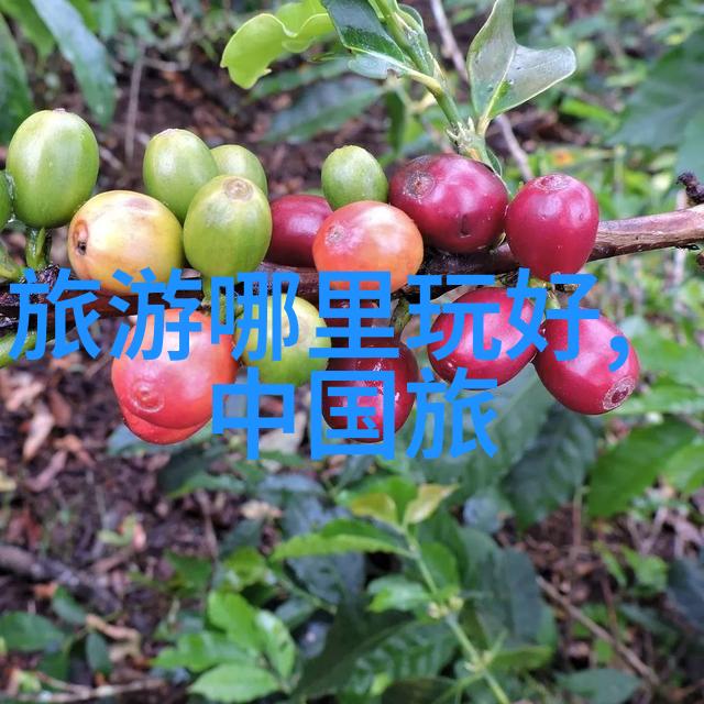石家庄周边游自驾游一日游探索河北的魅力