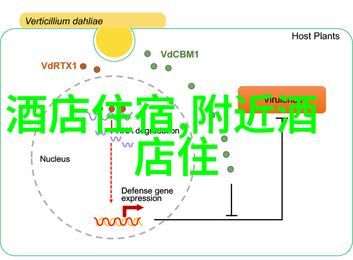 黄果树瀑布云南美景中的水之歌