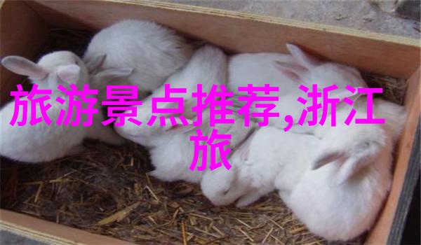 户外小游戏百宝箱100种趣味活动让你活出青春每一天