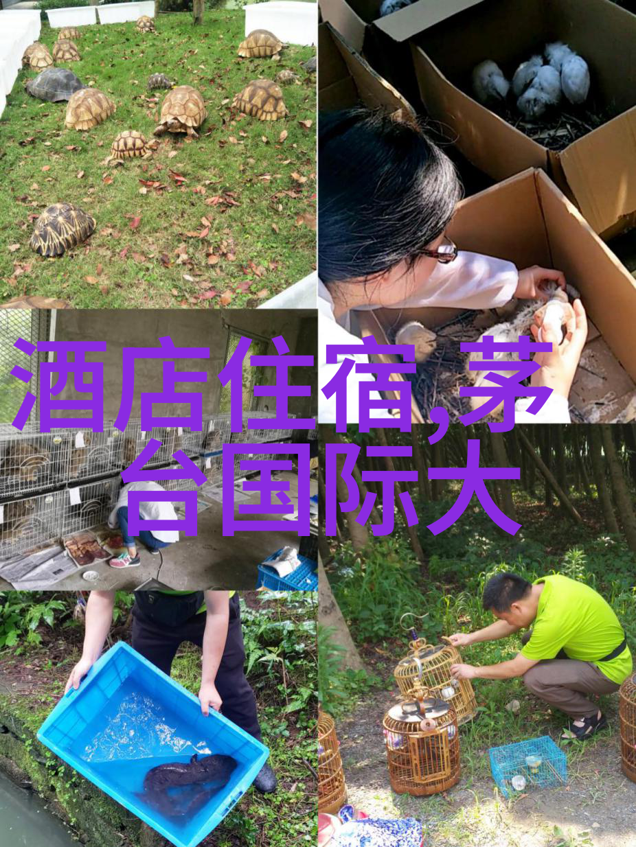 旅行社最怕客户投诉缺乏服务态度退款