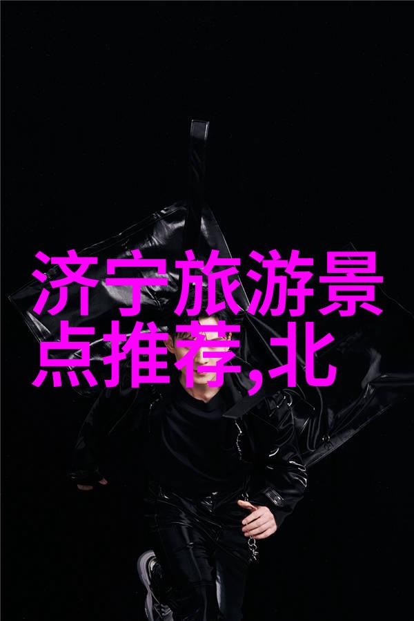 云端居所的奇遇飞屋环游记中的冒险篇章