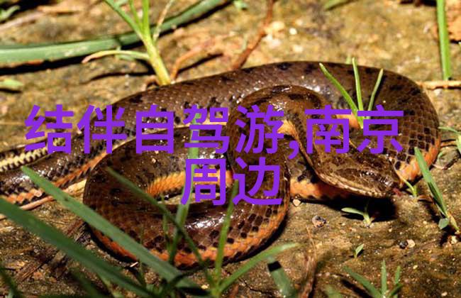 30人暖场小游戏精选团结一心笑声连连