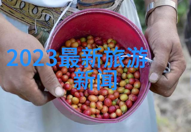 远足与露营让成年人重拾大自然中的简单快乐