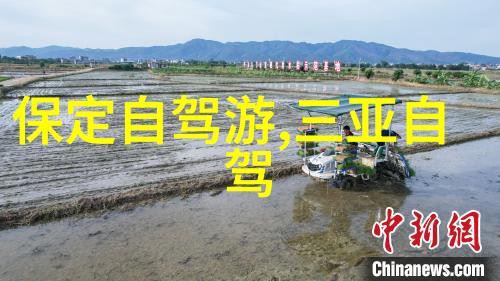 极速骑行4破解版我是如何一路狂飙成为极速骑行4破解版的速度之王的