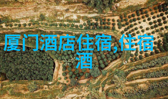 探索四川稻城亚丁的美丽秘境一条穿越高原风光的旅程