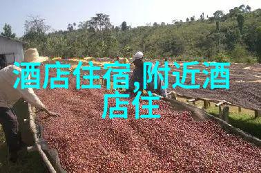 雪域奇迹新西兰南岛自然风光探秘