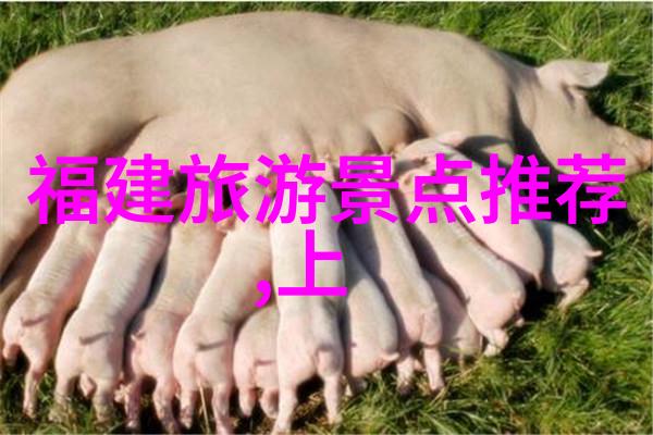 森林深处的大冒险四年级同学的情感征程