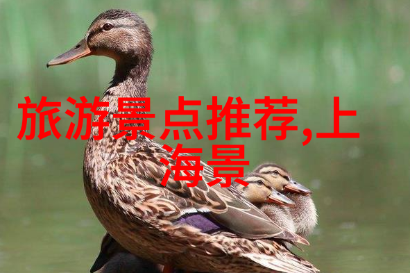 家乡春暖的味道