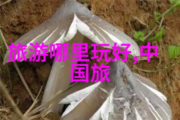 主题-探索12301全国旅游监管服务平台保障旅途安全的智慧之手