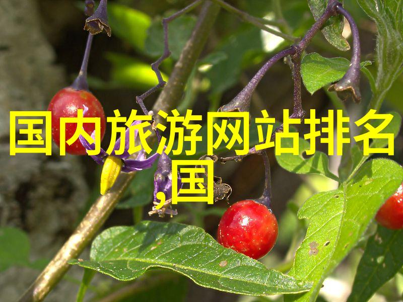 骑行运动注意事项亲自去山上拼搏的安全小贴士