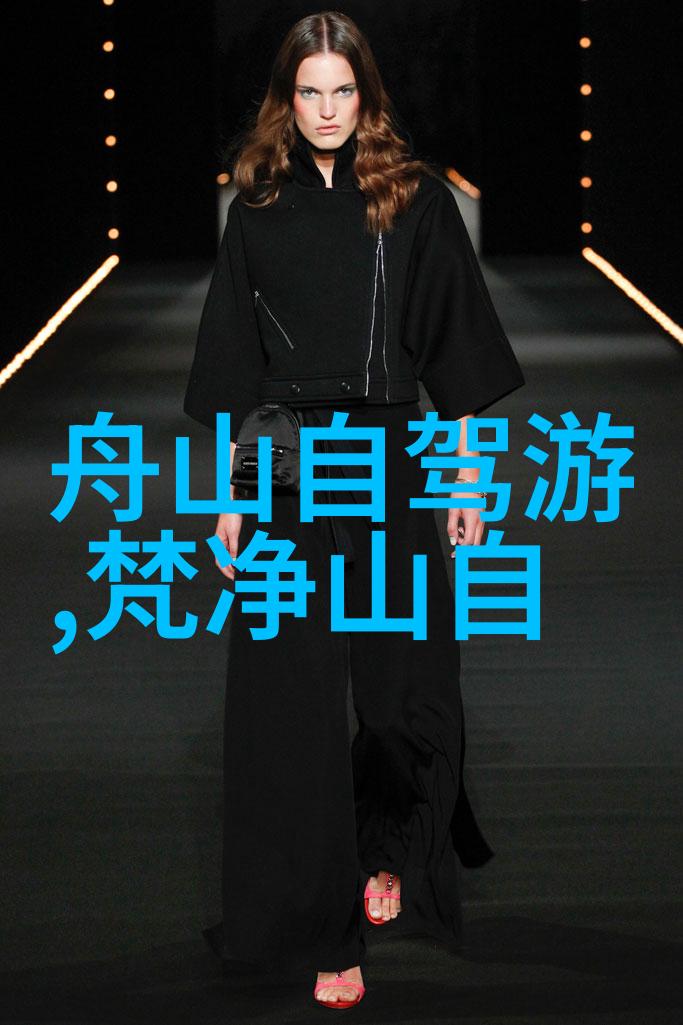 探索远方公路自行车的选择之谜