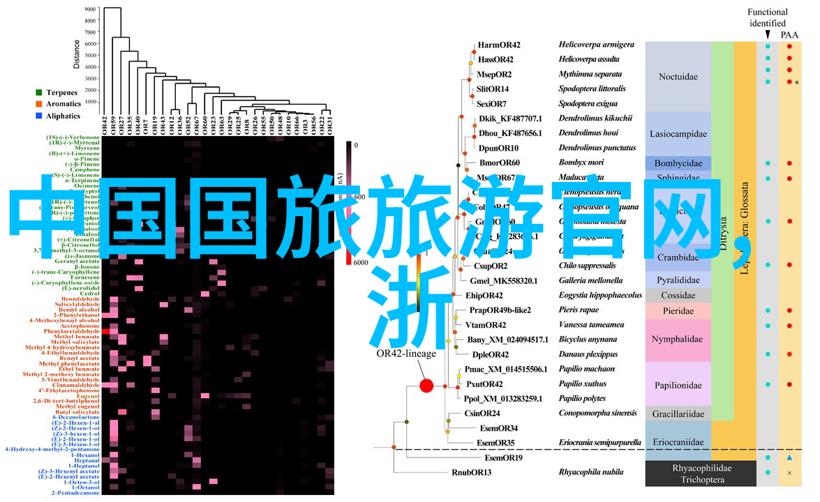 星光下的回忆录我的海外求学经历