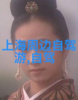 日本忍者之乡推行旅游业面临难题人口太少
