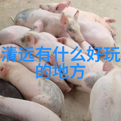 荒野求生班级户外活动记录
