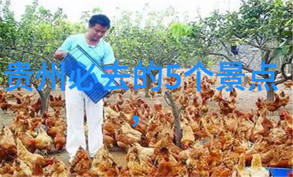 三四月春光好去哪里旅游探秘最佳目的地
