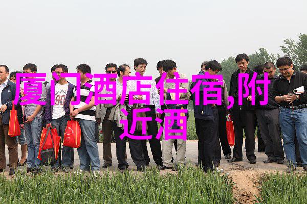 小学生的城市之旅观光报告