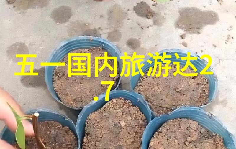 旅游社交平台有哪些-探索全球旅行圈揭秘热门旅游社交平台