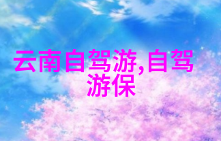 酒店住宿的秘密真实体验背后的故事是什么