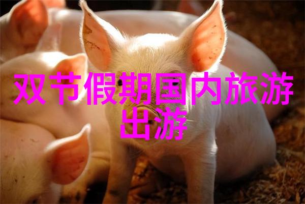 逆袭之旅从迷雾中寻找光明