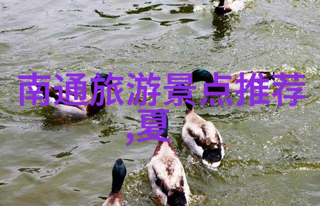 主题我和西游记的奇幻旅程