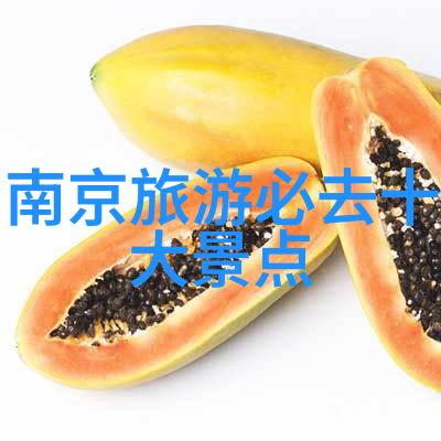 北京美食之旅味蕾上的文化盛宴