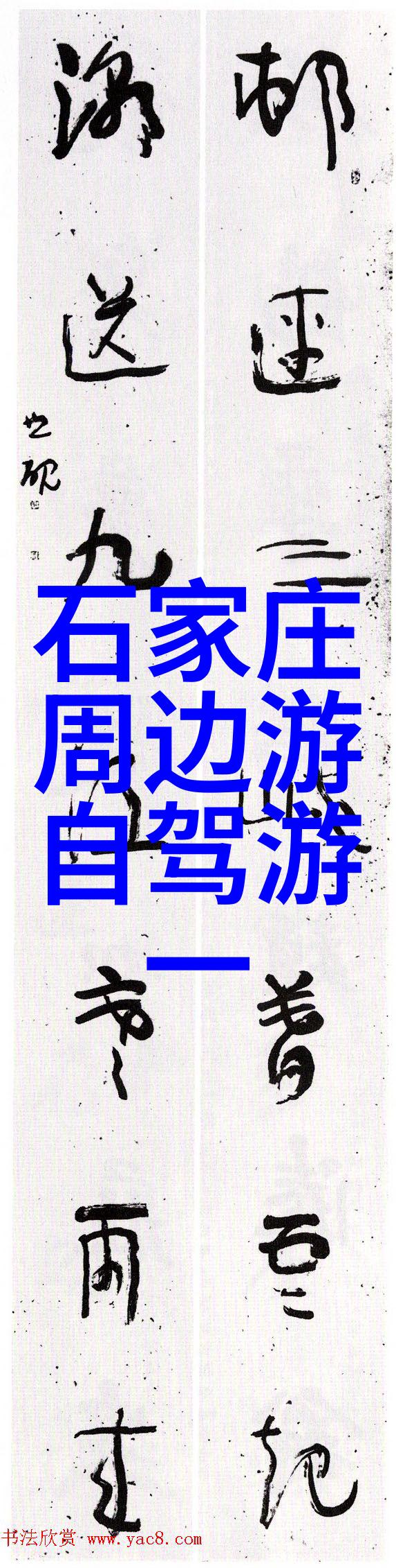 对于素食者来说有哪些口感丰富又营养均衡的美食品尝试呢