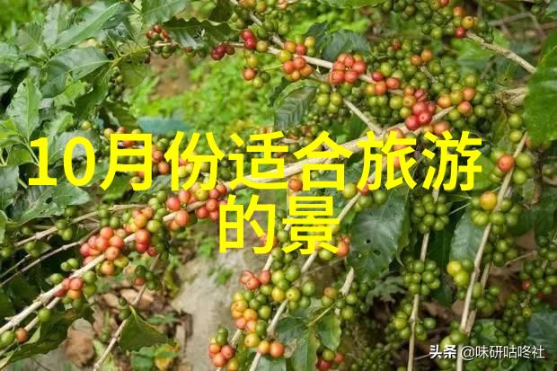 健康骑行-每天26公里的体能挑战从弱小到健壮