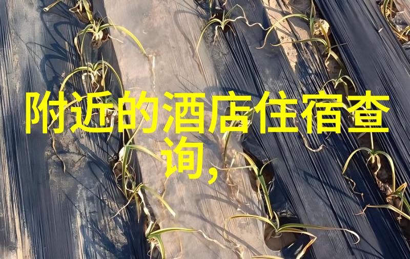 三日游最佳景点推荐探索城市魅力感受自然之美