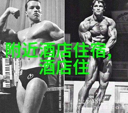 骑行软件app能否成为未来城市交通的新时代引领者