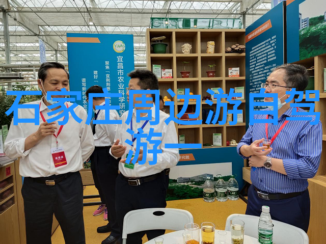 探秘地球奇观从艾菲尔铁塔到泰姬陵的旅行奇遇
