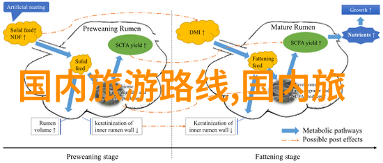10月1日去哪儿玩探索秋季旅行热门地标