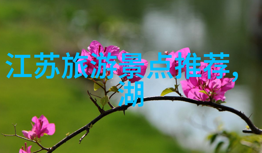 云南之旅寻找最佳时机的秘密