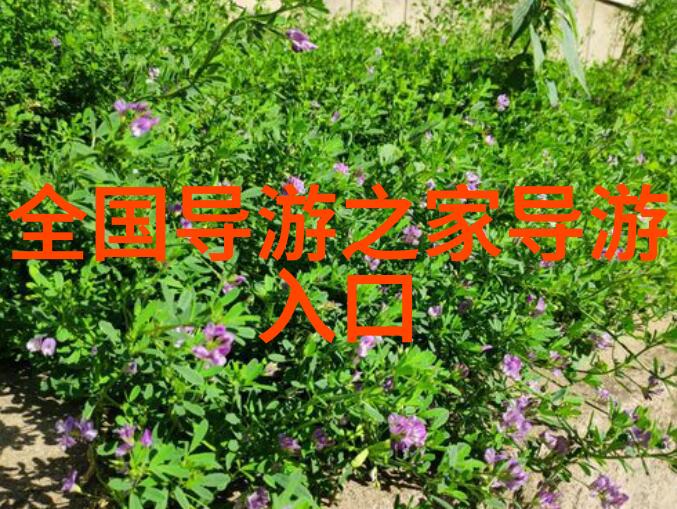 蜀道风情体验传统文化的四川7天行程