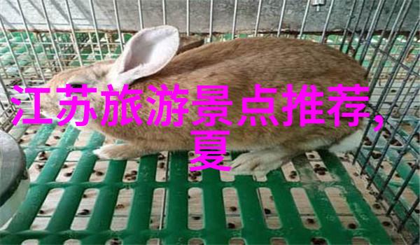 404黄台软件免费下载大禁用APP避免非法资源的危害选择正规途径获取软件