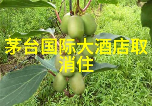 杭州西湖春晓记赏析翠绿胜地