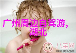 北京美食探秘揭秘那些独具特色的美味小吃在哪儿等你发现