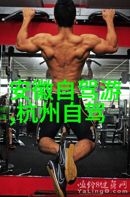 新手骑士的启航装备指南