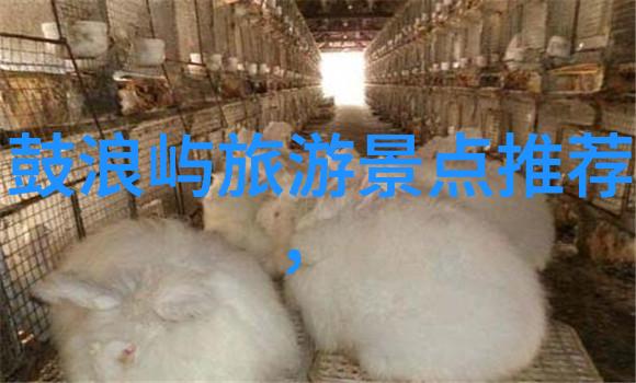 自驾穿越从皖南到川藏线的奇遇记