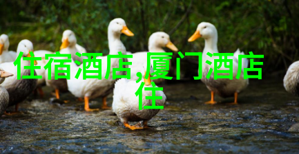 无限可能探索那些有潜力的非主流旅行目的地在排行中的崛起趋势
