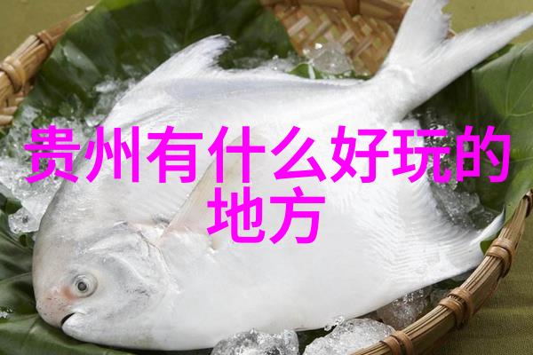 仙踪林官方网址免费探索奇幻世界