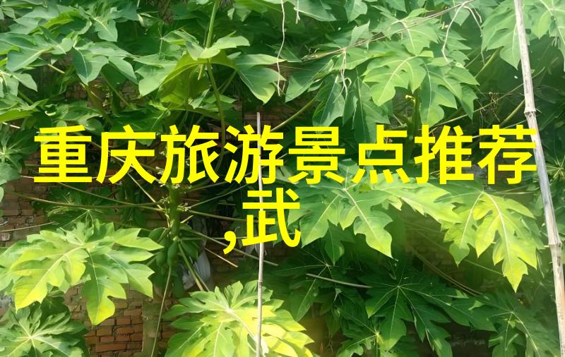 韩国美食之旅从首尔到釜山的味蕾冒险