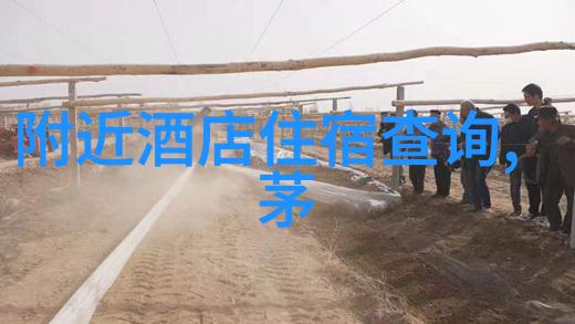探索未知哪款旅游app能让你的旅行更加精彩