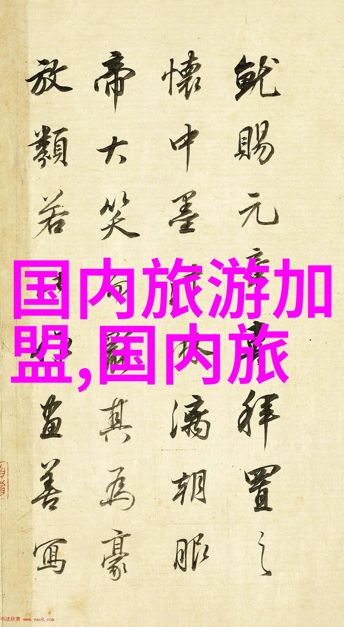 全国旅游监管平台导游入口启用提升旅行体验与服务管理效率