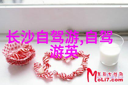 OYO酒店闪耀南亚东南亚商洽会一路布局满足上海住宿的每一个要求