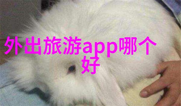 追求刺激体验全球十大极限运动胜地推荐于你