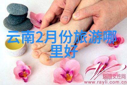 美国自驾游攻略社会中的自驾游注意事项
