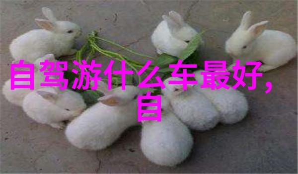 世界之冠壮丽的冰川奇迹