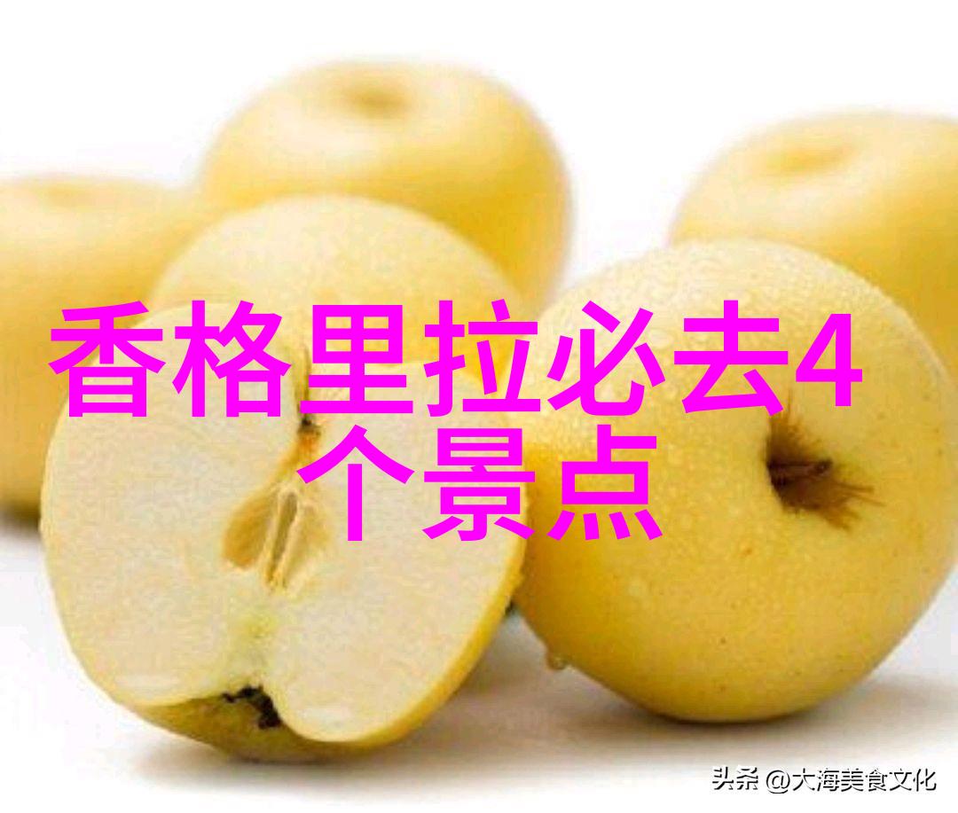 从家到校大学生与父亲的骑行冒险入门公路车推荐